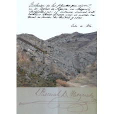 Transcripción del manuscrito: Relación de las plantas que viven en los Baños de Segura en Aragón ..., escrito por D Pascual Bailón Hergueta