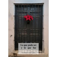 Lo que pudo ser y lo que fue